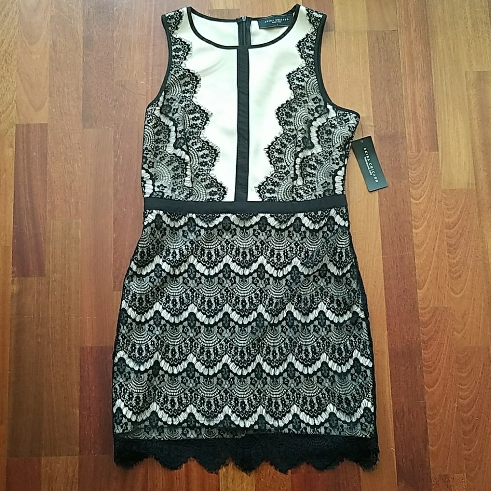 NWT Akira Lace Bodycon Dress